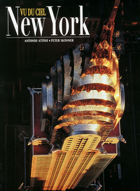 Picture of New York vu du ciel