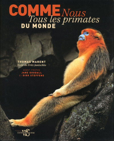 Image de Comme nous - Tous les primates du monde
