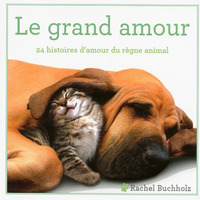 Image de Le grand amour