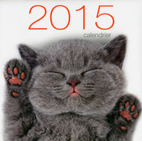 Image de Calendrier mural Chats 2015