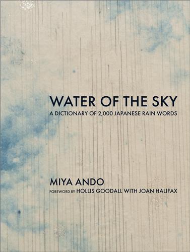 Picture of Miya Ando Water of the Sky /anglais