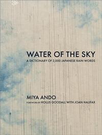 Picture of Miya Ando Water of the Sky /anglais