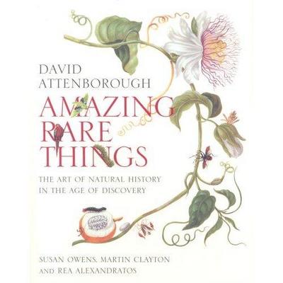 Picture of Amazing Rare Things /anglais