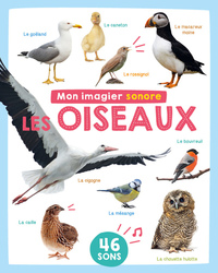 Picture of MON IMAGIER SONORE - MON IMAGIER SONORE - OISEAUX