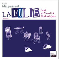 Image de LA FOLIE DANS LES NOUVELLES FANTASTIQUES N26 CARRES CLASSIQUES