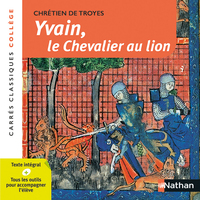Image de Yvain, le Chevalier au lion