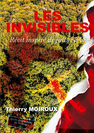 Picture of Les invisibles