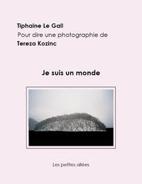 Picture of Je suis un monde