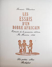 Image de Les essais d'un bobre africain