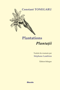 Picture of Plantations / Plantatii