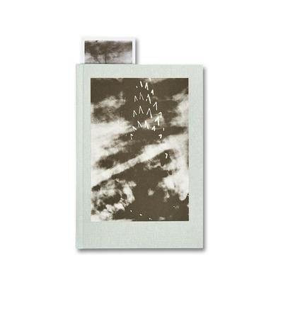 Image de The Narcissistic City Notebook