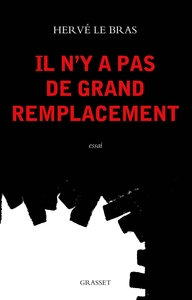 Image de Il n'y a pas de grand remplacement