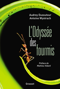 Picture of L'Odyssée des fourmis