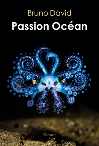 Picture of Passion océan