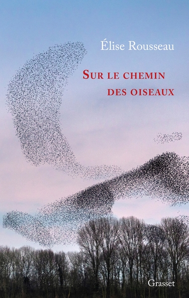 Image de Sur le chemin des oiseaux