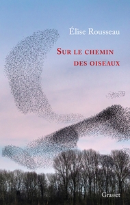 Image de Sur le chemin des oiseaux
