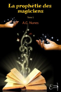 Image de LA PROPHETIE DES MAGICIENS T1