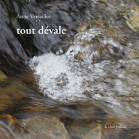 Picture of tout dévale