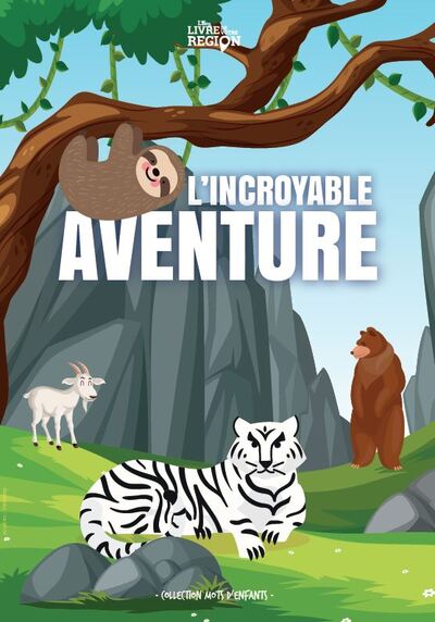 Image de L'incroyable aventure