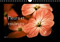 Image de Fleurs et couleurs (Calendrier mural Calendrier perpétuel DIN A4 horizontal)