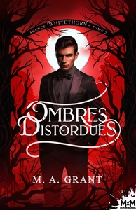 Picture of Ombres distordues