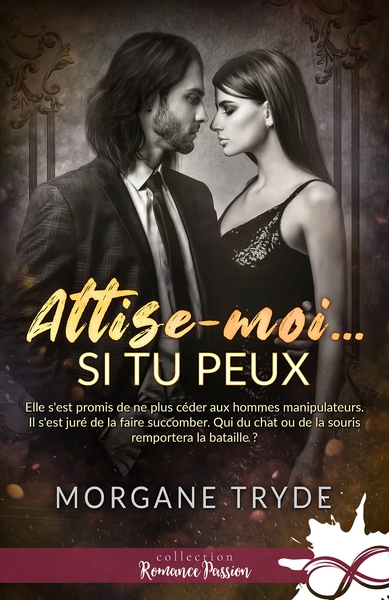 Picture of Attise-moi si tu peux
