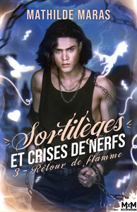 Picture of Retour de flamme