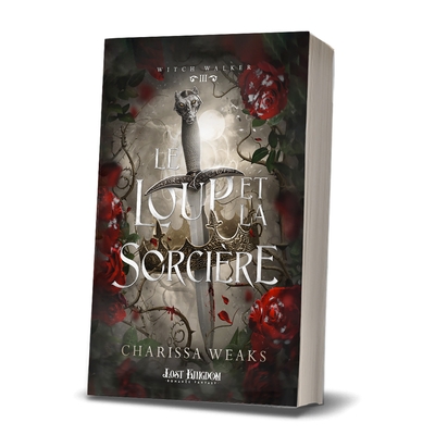 Image de Le loup et la sorcière