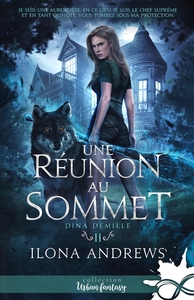 Picture of Une réunion au sommet