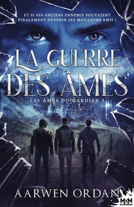Picture of La guerre des âmes