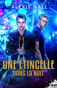 Picture of Une étincelle dans la nuit