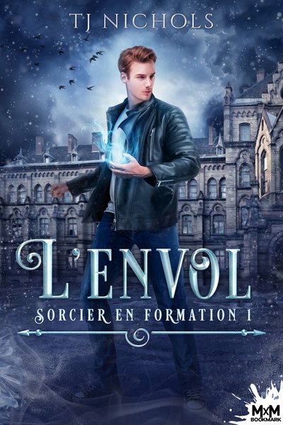 Picture of L'envol