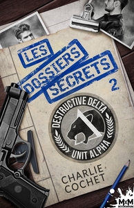 Picture of Les dossiers secrets 2