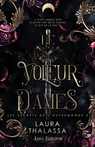 Image de Le voleur d'âmes