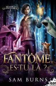 Picture of Fantôme, es-tu là ?