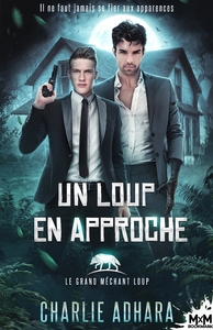 Picture of Un loup en approche