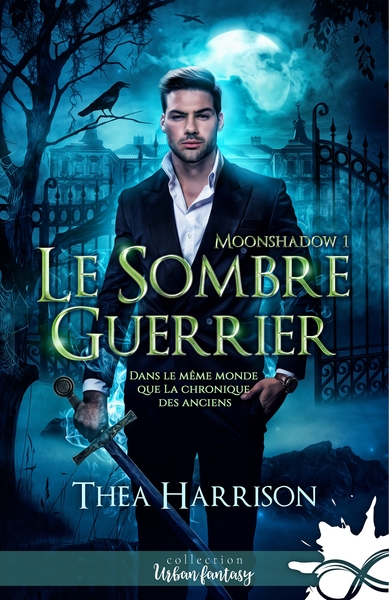 Picture of Le sombre guerrier