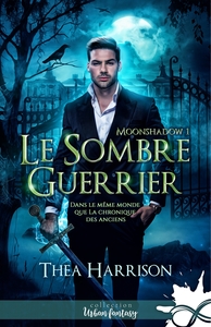 Picture of Le sombre guerrier