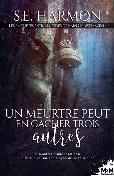 Picture of Un meurtre peut en cacher trois autres