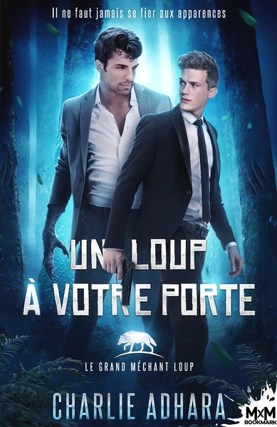 Picture of Un loup à votre porte
