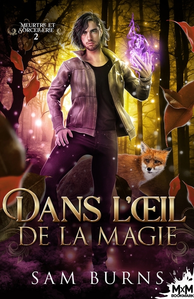 Picture of Dans l'oeil de la magie