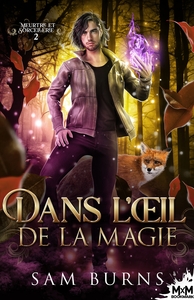 Picture of Dans l'oeil de la magie