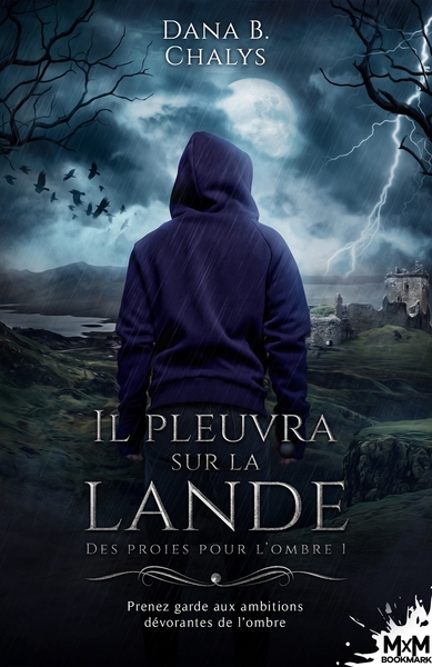 Picture of Il pleuvra sur la lande