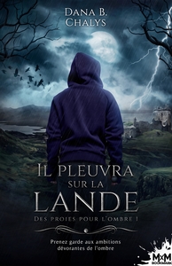 Picture of Il pleuvra sur la lande