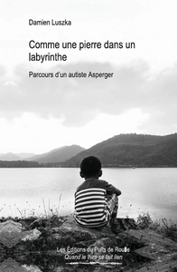 Picture of Comme une pierre dans un labyrinthe - Parcours d'un autiste Asperger