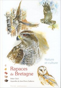Picture of Rapaces de Bretagne
