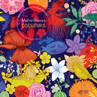 Picture of Merveilleuses couleurs