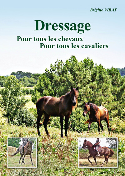 Picture of Dressage