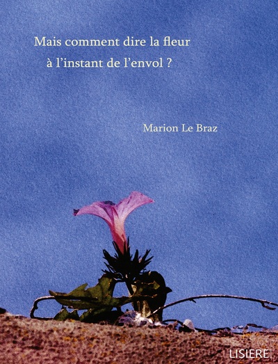 Image de Mais comment dire la fleur à l'instant de l'envol ?