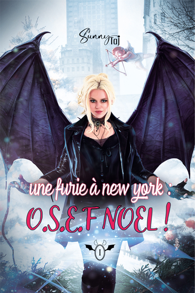 Picture of Une furie à new york